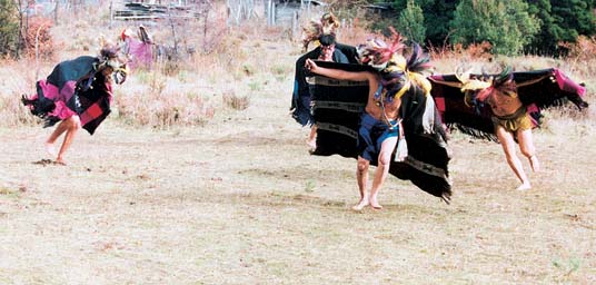 Danza ceremonial mapuche: choique purrun. Foto: F. Hermosilla